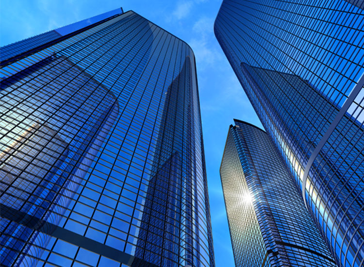 Desarrollo de Bienes Productivos